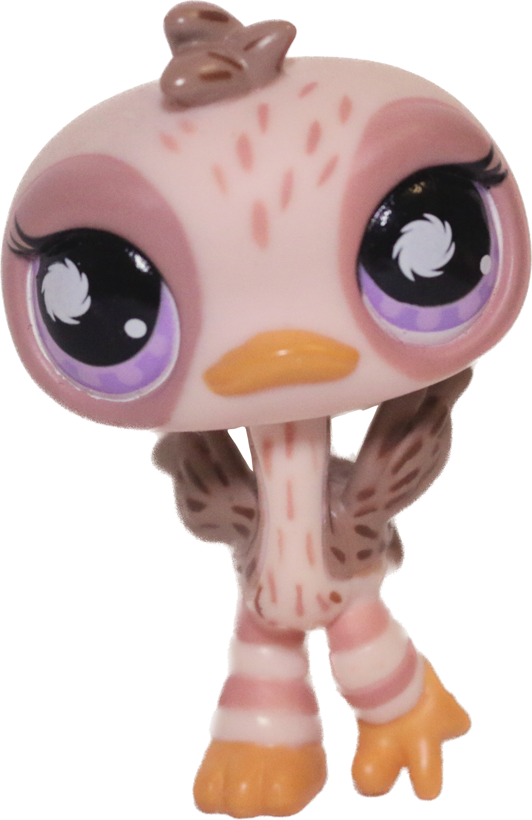 #0945 Ostrich