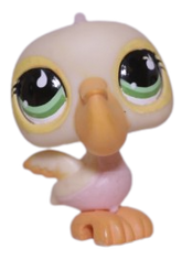 #0962 Pelican