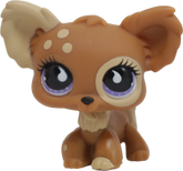#0963 Chihuahua