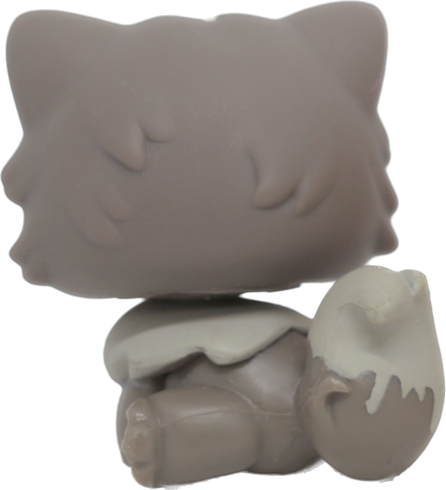 #0973 Persian Cat