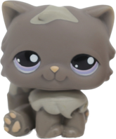 #0973 Persian Cat