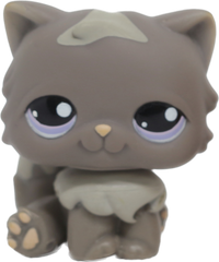 #0973 Persian Cat