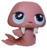 #0977 Walrus