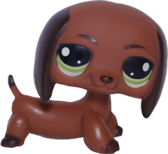 #0992 Dachshund