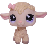 #1003 Sheep