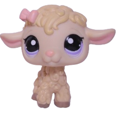 #1003 Sheep