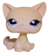 #1005 Sitting Cat