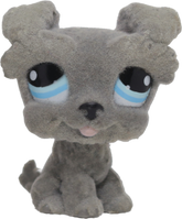 #1006 Schnauzer