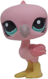 #1023 Flamingo