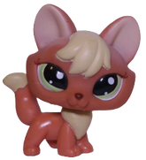 #1028 Fox