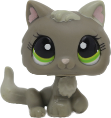 #1035 Kitten