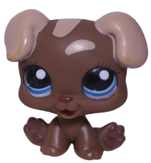 #1052 Puppy