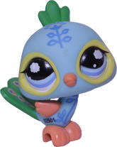 #1069 Peacock