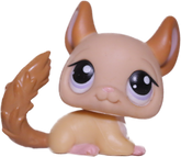 #1102 Chinchilla