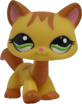 #1137 Destiny Cat