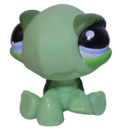 #1148 Turtle