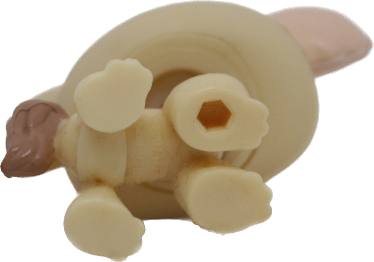 #1171 Chihuahua