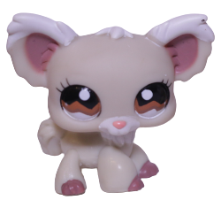 #1199 Chihuahua