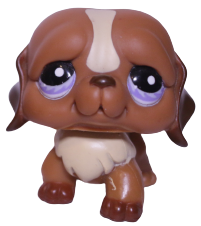 #1222 Saint Bernard
