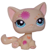 #1231 Sitting Cat