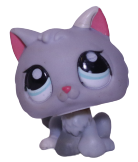 #1301 Kitten