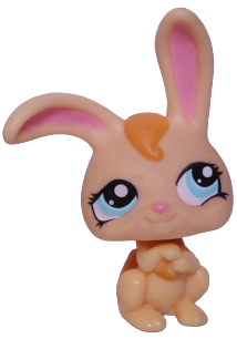 #1310 Rabbit