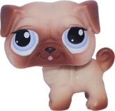 #1313 Pug