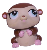 #1322 Hamster