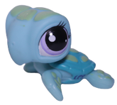 #1325 Sea Turtle