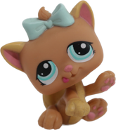 #1335 Kitten