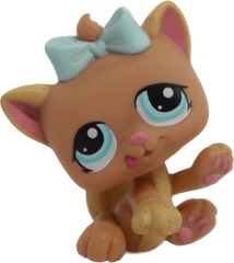 #1335 Kitten