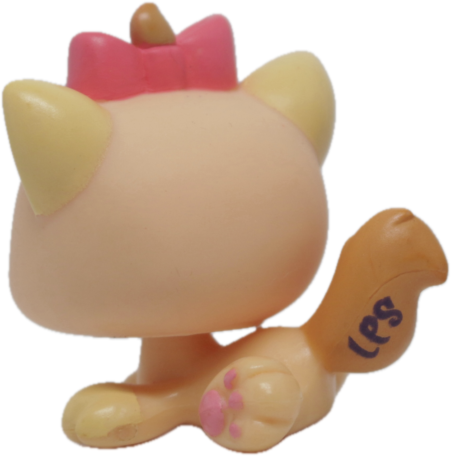 #1336 Kitten