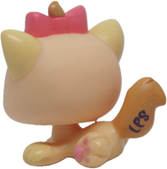 #1336 Kitten