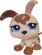 #1339 Puppy