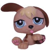 #1340 Puppy
