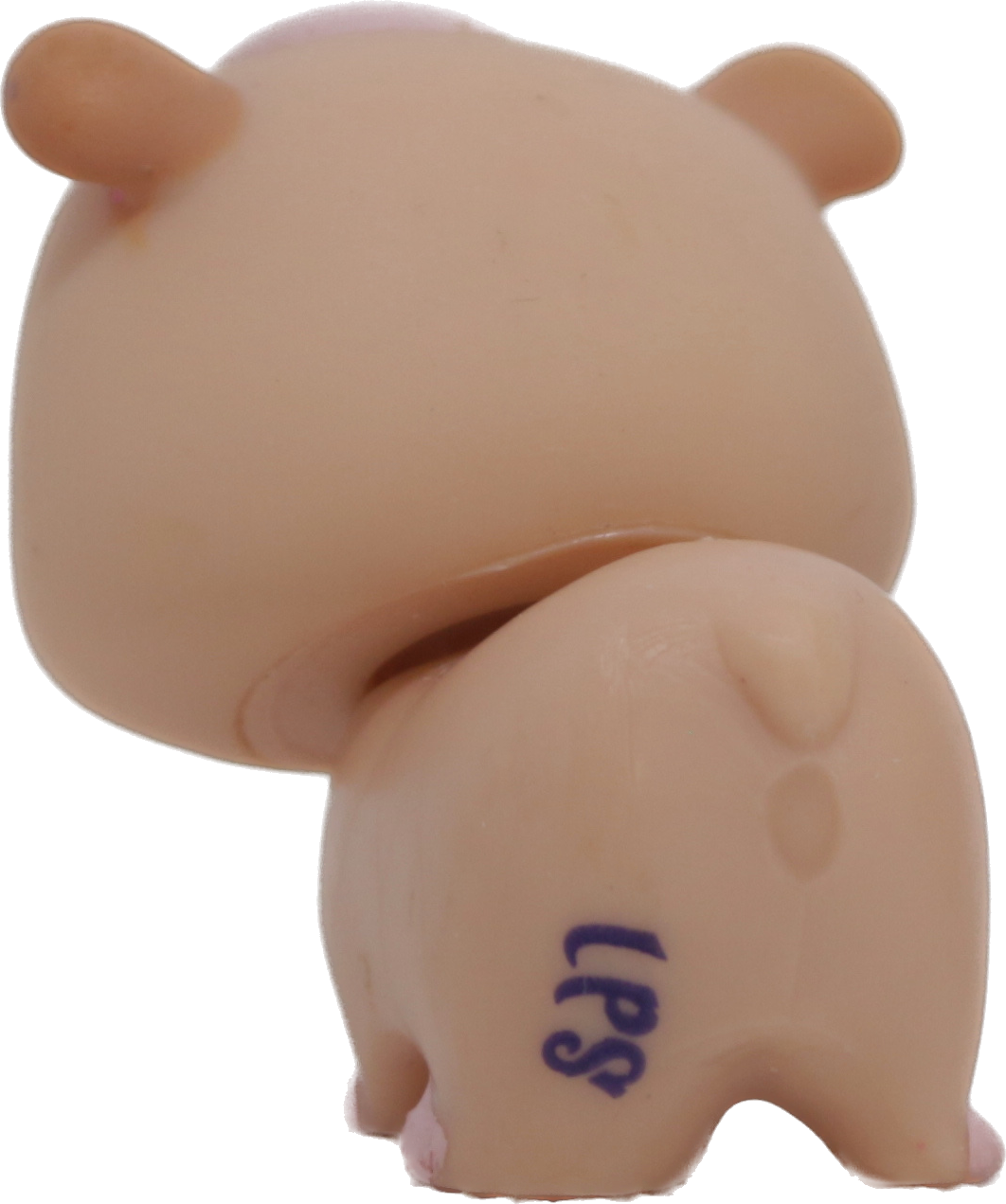 #1341 Hamster