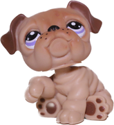 #1342 Bulldog