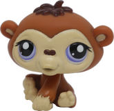 #1347 Chimpanzee