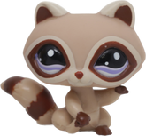 #1348 Raccoon