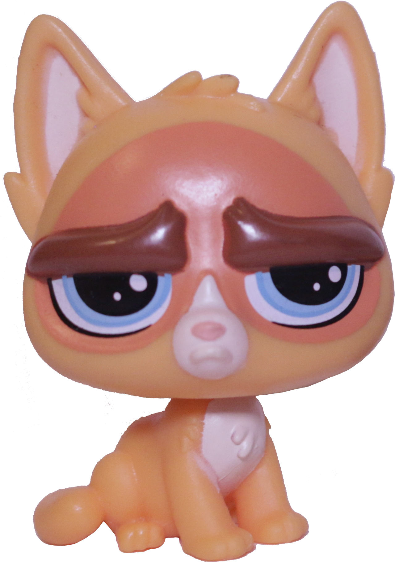 #135 Grumpy Cat "Sulky Macwhiskers"