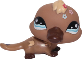 #1395 Platypus