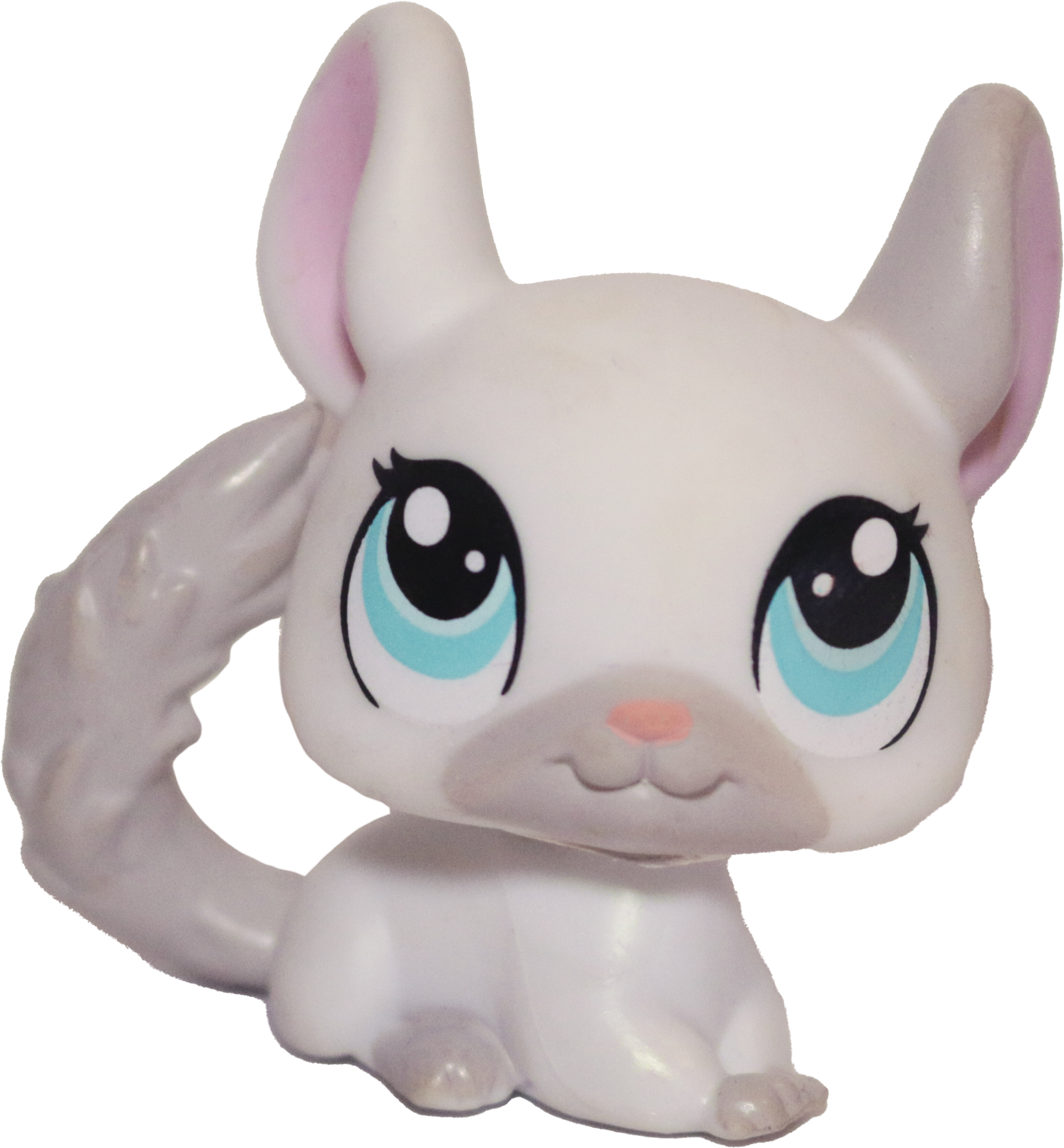 #1401 Chinchilla