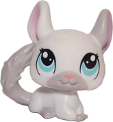 #1401 Chinchilla