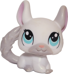 #1401 Chinchilla