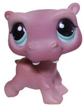 #1415 Hippo