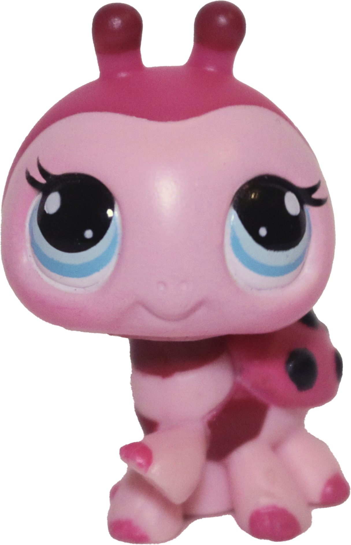 #1423 Ladybug