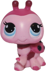 #1423 Ladybug