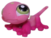 #1455 Gecko