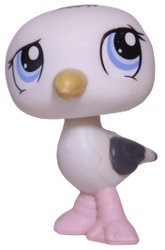 #1456 Seagull