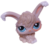 #1471 Angora Rabbit